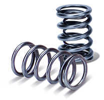 Check Valve Spring